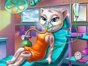 Kitty Mission Accident Er