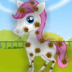 Pretty Pony Day Care