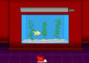 Escape Room With One Shoe