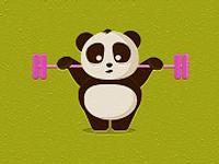 Exotic Animals Puzzle Time