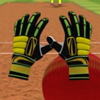 Cricket Fielder Challenge