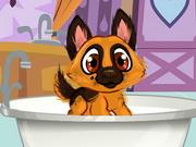 Holly O'hair Pet Care