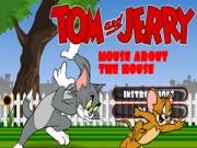 Mouse About The House