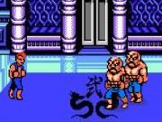 Double Dragon Fighters