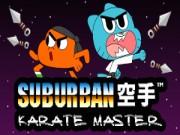 Suburban Karate Master