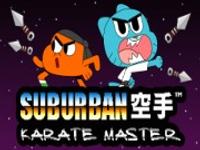 Suburban Karate Master
