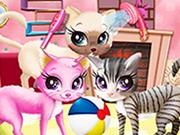 Kitty Pet Care Salon