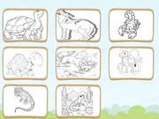Desert Animals Coloring Book