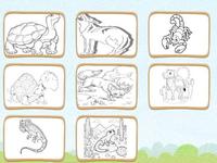 Desert Animals Coloring Book