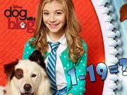 Dog With A Blog Math Quiz