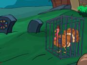 Rescue Turkey From Cage