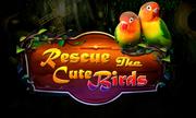 Rescue the bird