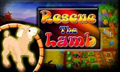 Rescue The Lamb