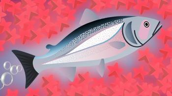 BIGGEST SALMON.IO EVER CREATED! (HARDEST .IO GAME EVER) l Salmonz.io New Update 