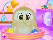 Baby Owl Care