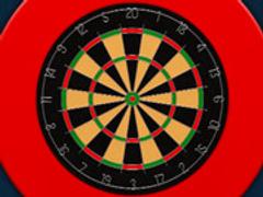 Darts Pro