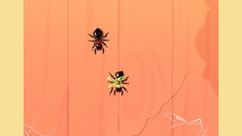 Ant Smash · Game · Gameplay 