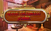 Rescue The Princess Jasmine