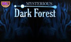 NSR Thanksgiving Day 2017