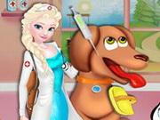 Elsa Animal Hospital
