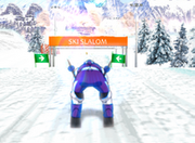 Ski Slalom 3d