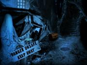 Mysterious Dark Forest