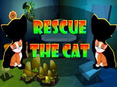Rescue The Cat