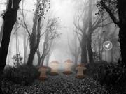 Zooo Swarthy Forest Escape