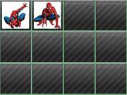 Spiderman Memory