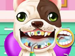 Crazy Animals Dentist