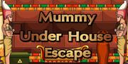Sivi Mummy Under House Escape