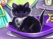 Fluttershy's Pet Care