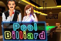 Pool Billiard