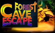 Forest Cave Escape 