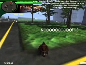 5 things to do on Fly like a bird 3! 