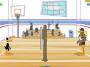 Tricky Duck Volleyball