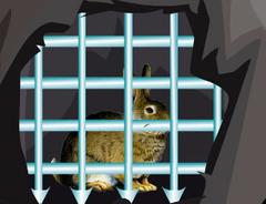 Rabbit Escape : Escape Games 46