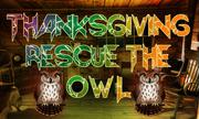 Thanksgiving Rescue The Owl