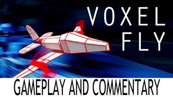 Voxel Fly - Gameplay and Commentary - Oculus Go Getters 