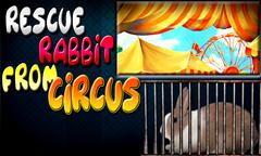 Rescue Rabbit From Circus