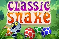 Snake 2 Game - Play Snake 2 Online for Free at YaksGames