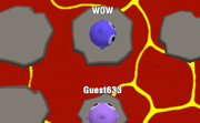 Lava.io