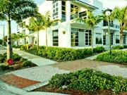 Office Lawn Escape 2