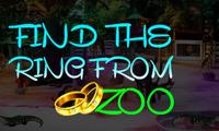 Find The Ring From Zoo