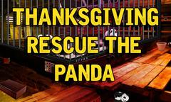 Thanksgiving Rescue The Panda