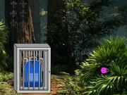 Parachute Escape From Forest