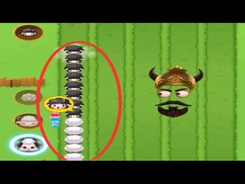 Sheep Fight Game //very big sheep line//??? 