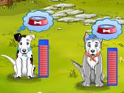 Hannas Sweet Puppies