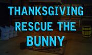 Thanksgiving Rescue The Bunny