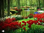 Valentine Garden Escape